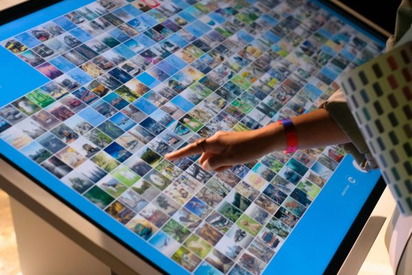 karen-grigorean-9D6UlCW38Ss-unsplash